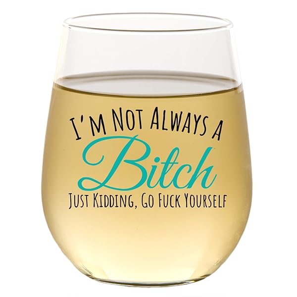 Funny Wine Glass for Women and Men Unique Gift for Best Friend Cute Stemless Drinking Glass for Christmas Birthday Inappropriate Humor