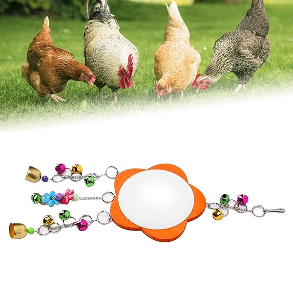 GLOGLOW Bird Mirror Toy Hanging Parrot Mirror with Colored Bells Interactive Toy for Chicks Hens Cockatiel Parakeets Canaries Budgie - Image 7