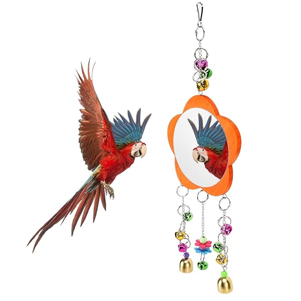 GLOGLOW Bird Mirror Toy Hanging Parrot Mirror with Colored Bells Interactive Toy for Chicks Hens Cockatiel Parakeets Canaries Budgie - Image 9