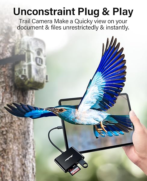 Hicober USB C to SD Card Reader: 2TB Adapter for MacBook, Android, Windows & More - Image 7