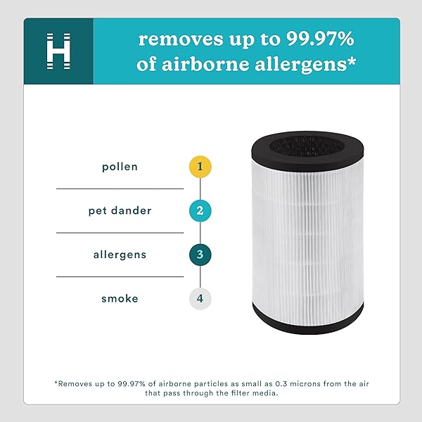 HoMedics TotalClean 3-in-1 True HEPA Filter Replacement for AP-T40, AP-T43, AP-T45 - Removes 99.97% of Airborne Particles - Image 5