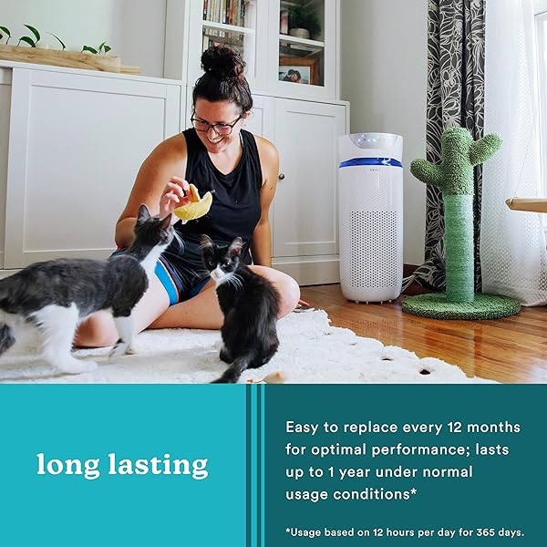 HoMedics TotalClean 3-in-1 True HEPA Filter Replacement for AP-T40, AP-T43, AP-T45 - Removes 99.97% of Airborne Particles - Image 6