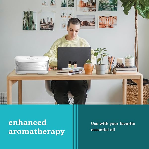 Top-Rated Homedics TotalClean Desktop Air Purifier: 360-Degree HEPA Filter for Small Rooms, Home Office & Bedroom - Image 5