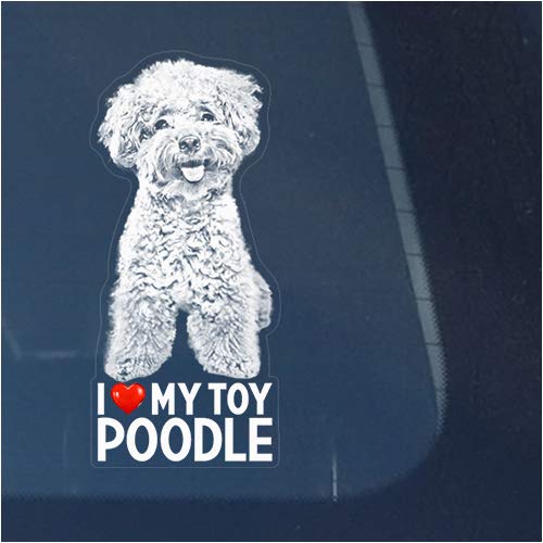 I Love My Toy Poodle Clear Vinyl Decal Sticker for Window Miniature Teacup Dog Sign Art Print Design