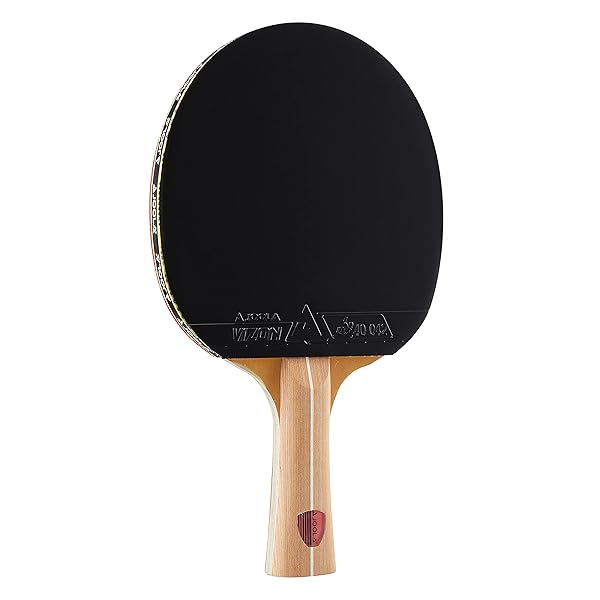 JOOLA Omega Control Ping Pong Paddle: Advanced Table Tennis Racket for Precision & Performance