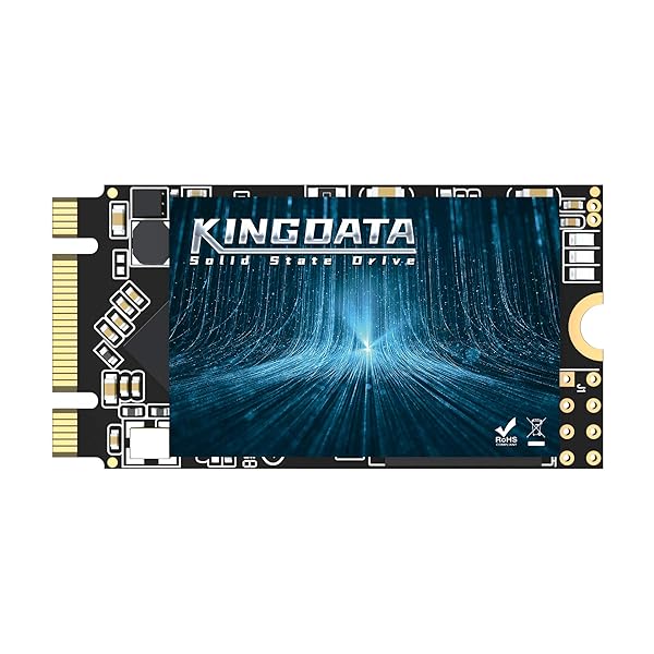 KINGDATA 64GB M.2 2242 SSD High-Performance Internal Solid State Drive for Desktop and Laptop SATA III 6Gb/s