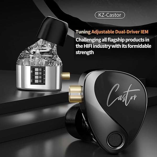 High-End KZ Castor 2DD Dynamic IEM Earphones for Musicians & DJs - Tunable In-Ear Monitors with Detachable Cable (Black) - Image 8