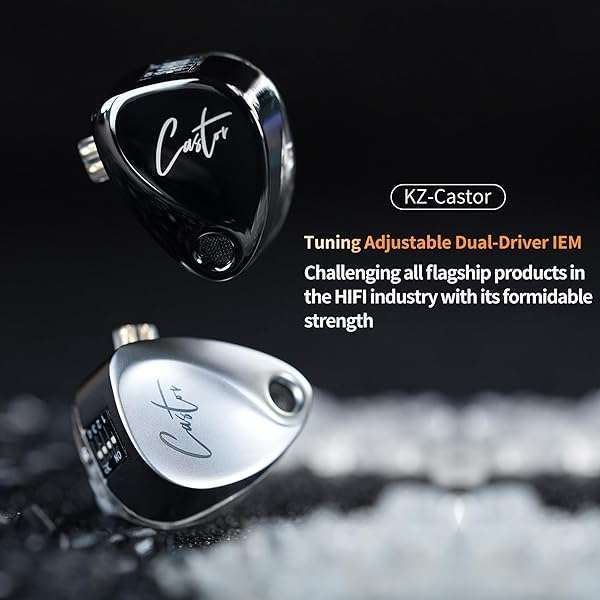 Buy KZ Castor HiFi 2DD Dynamic IEM Earphones - Tunable In-Ear Monitors for Musicians & DJs (Silver, Detachable Cable) - Image 4