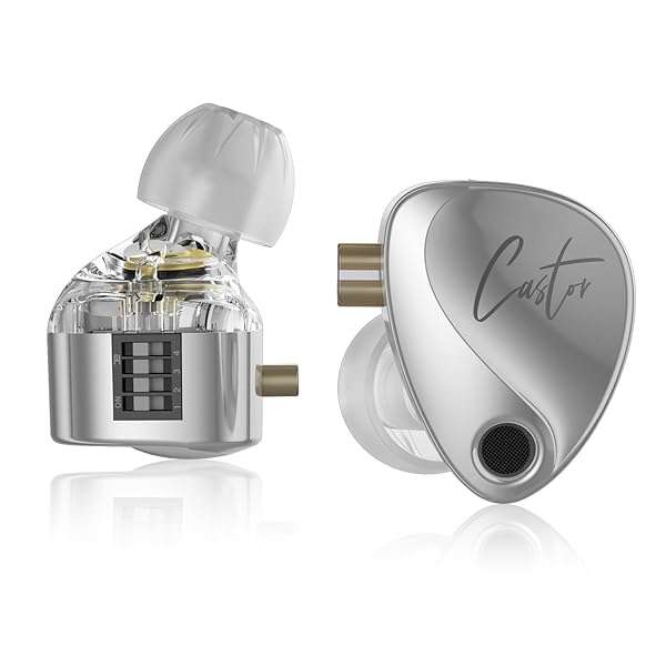 Buy KZ Castor HiFi 2DD Dynamic IEM Earphones - Tunable In-Ear Monitors for Musicians & DJs (Silver, Detachable Cable) - Image 3