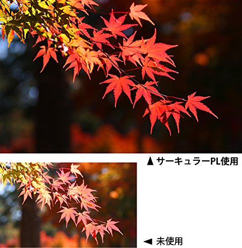 Kenko 62mm PRO1D C-PL Wideband Slim Frame Lens Filter for Stunning Photography - Image 8