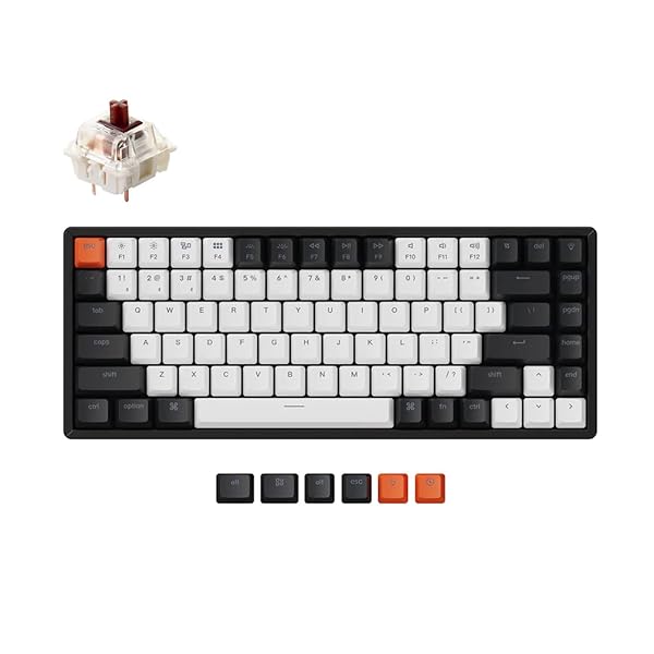 Keychron Keychron K2 V2: Hot-Swappable 75% Mechanical Keyboard with RGB, Bluetooth & USB for Mac/Windows - Gateron Brown Switch