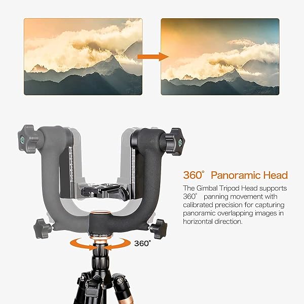 Koolehaoda Q45 Gimbal Head: Heavy Duty Tripod for DSLR Cameras up to 26lbs with Quick Release & Bubble Level - Image 4