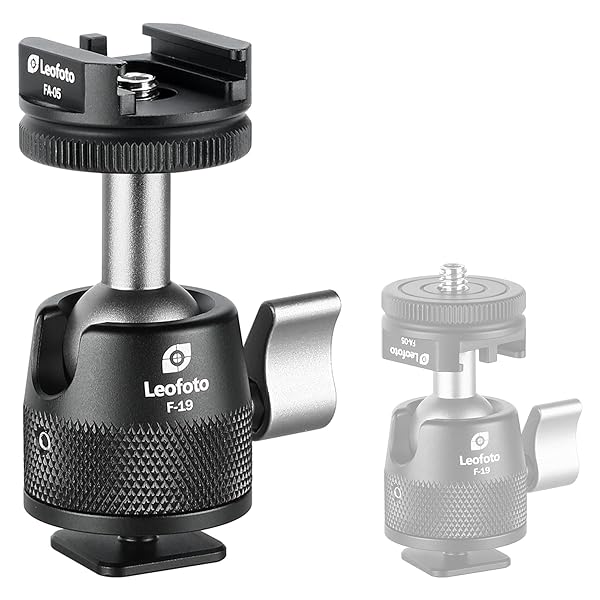 "LEOFOTO F-19 Mini 19mm Long Neck Ball Head: Cold Shoe & 1/4" Mount for Perfect Photography"