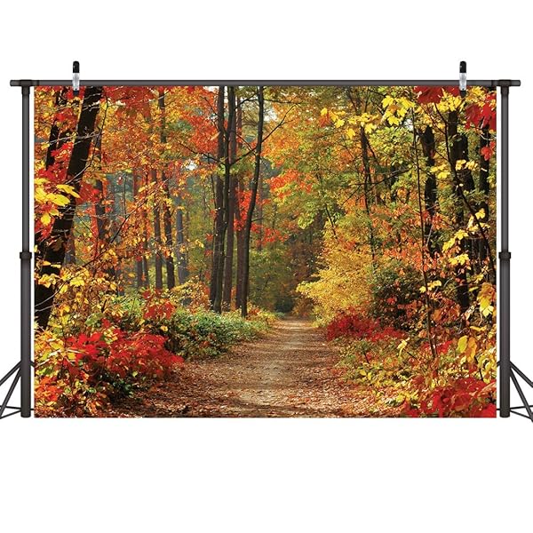 LYWYGG LYWYGG 7x5ft Autumn Deciduous Background - Stunning Fall Leaves Photography Backdrop for Studio Props
