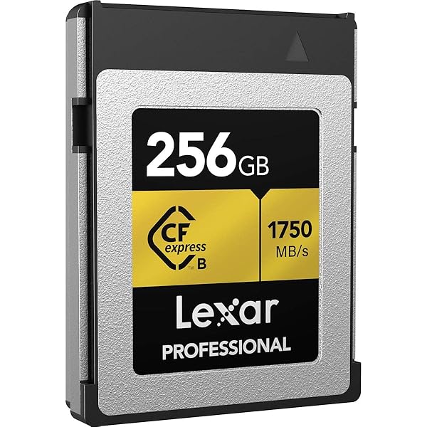Lexar Professional CFexpress 256GB Type-B Card Review: Fast Storage for Photographers - Image 3