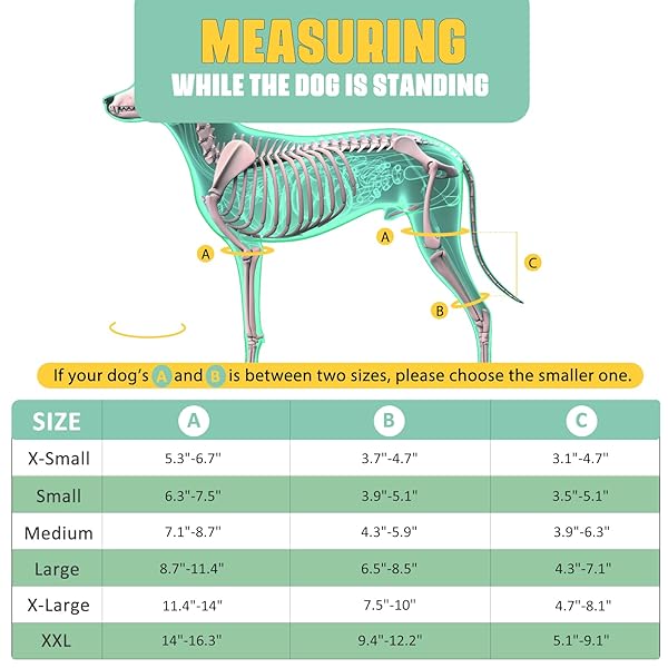 Lyderpet Dog Knee Brace for Torn ACL Rear Leg Support Reduces Joint Pain with Stabilizers for Large Dogs - Image 5