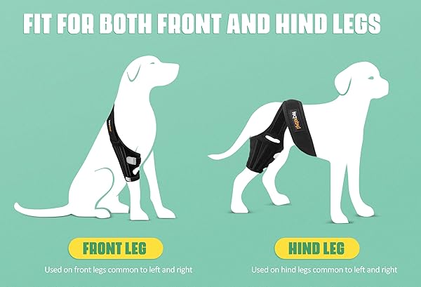 Lyderpet Dog Knee Brace for Torn ACL Rear Leg Support Reduces Joint Pain with Stabilizers for Large Dogs - Image 6