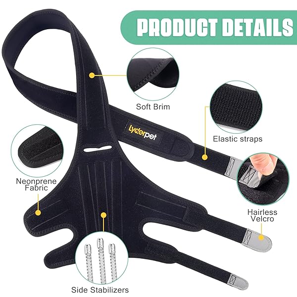 Lyderpet Dog Knee Brace for Torn ACL Rear Leg Support Reduces Joint Pain with Stabilizers for Large Dogs - Image 9