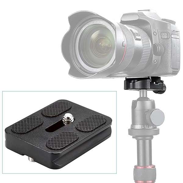 "NEEWER Universal Arca Type Quick Release Plate - All Metal, 1/4" Screw for Tripod & Ballhead (PU50 50mm)" - Image 4