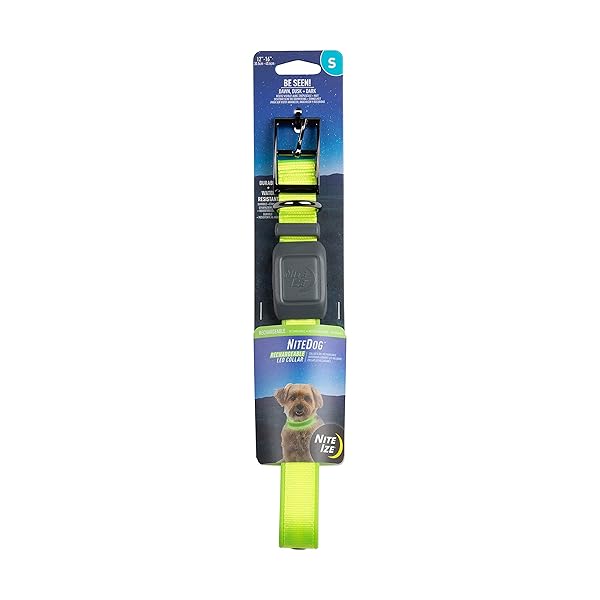 Nite Ize Nite Ize NiteDog Rechargeable LED Dog Collar Water Resistant Durable Metal Buckle Small Lime for Night Activities