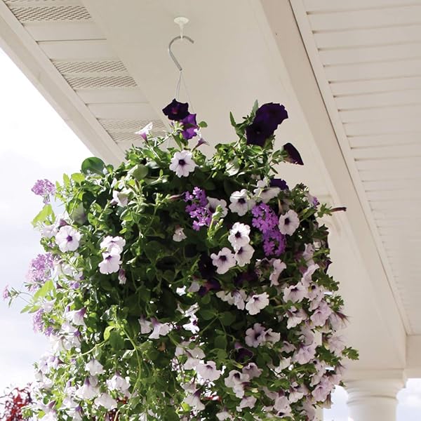 OOK 50330 Jumbo Swag Hook with Hardware - Durable White Hanging Solution for Home Decor - Image 6