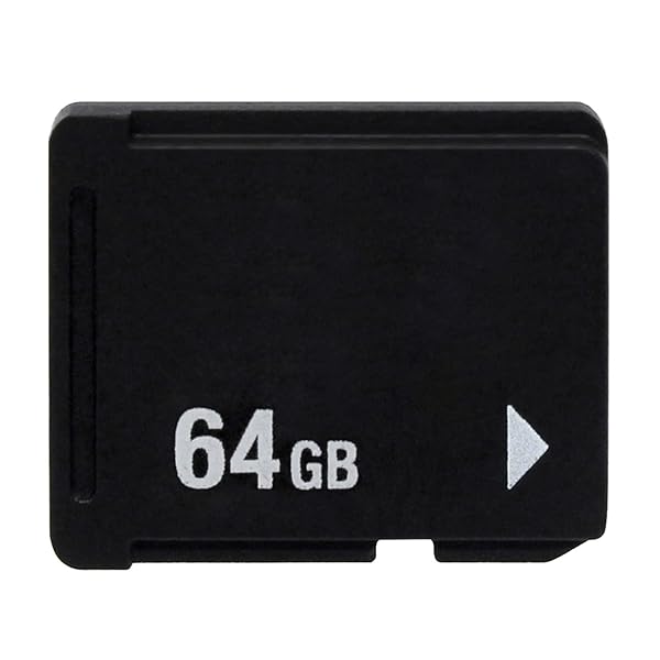 OSTENT 64GB Memory Card for Sony PS Vita PSV1000 PSV2000 PCH-Z041 PCH-Z081 PCH-Z161 PCH-Z321 PCH-Z641 Storage Solution