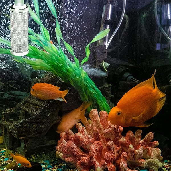 POPETPOP 16mm Stainless Steel Mesh Filter Media Cover for Aquariums - Durable & Efficient - Image 3