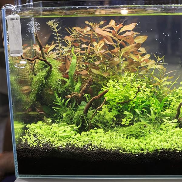 POPETPOP 16mm Stainless Steel Mesh Filter Media Cover for Aquariums - Durable & Efficient - Image 9