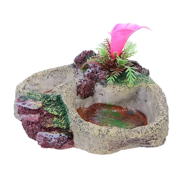 POPETPOP Reptile Water Bowl Feeder Dish for Tortoise Lizard Frog Gecko Snake Chameleon Bearded Dragon Accessories SP-008