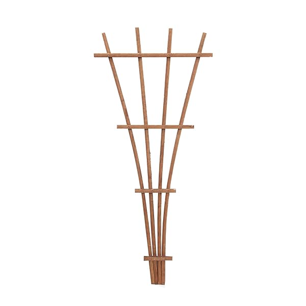 "Panacea 83737 48" Brown Wood Fan Trellis - Stylish Garden Decor & Support for Climbing Plants"