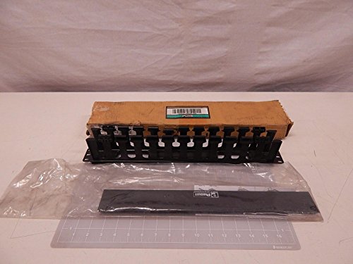 Buy Panduit WMPFSE Horizontal Cable Manager - 1 RU, Black | Efficient Cable Management Solution