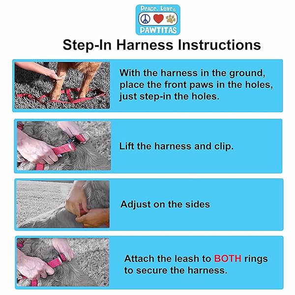 Pawtitas Adjustable Solid Color Step in Dog Harness with Matching Collar Small Grey Blue Green Multicolor 6 Feet - Image 8