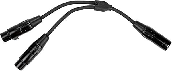 Pig Hog Solutions 6 Y Cable XLR Male to Dual XLR Female for Professional Audio Connections