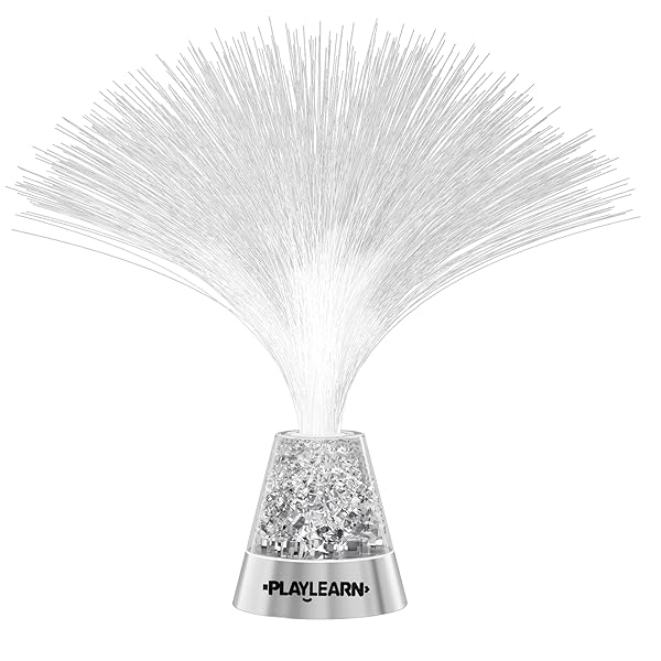 Playlearn USA - Image 6