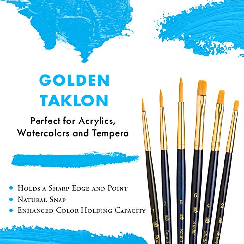 Princeton Real Value Series 9100 Paint Brush Sets for Acrylic, Oil & Watercolor - Syn-Gold Taklon Sizes 1, 3, 5, Shader 2, 4, 6 - Image 6