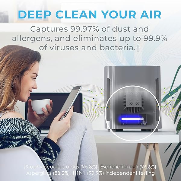 Pure Enrichment PureZone Air Purifier: H13 HEPA & UV-C Light for Allergens, Dust & Pet Dander in Bedrooms & Living Rooms - Image 5