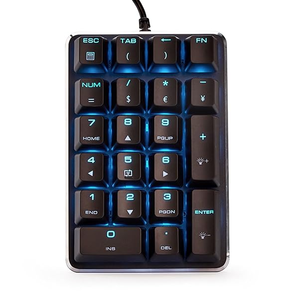 Qisan Mechanical Numeric Keypad GATERON Brown Switch Wired Ice Blue Backlight 21 Keys Portable Gaming Numpad for Laptop and Computer
