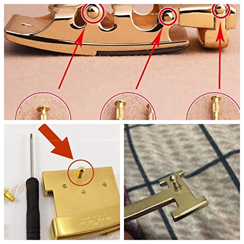 RD GARDEN 66pcs Belt Buckle Repair Screws and Hooks Assorted Kit in Multicolor Brass and Stainless Steel - Image 3