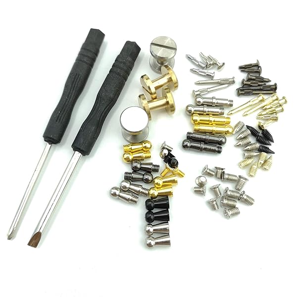 RD GARDEN 66pcs Belt Buckle Repair Screws and Hooks Assorted Kit in Multicolor Brass and Stainless Steel
