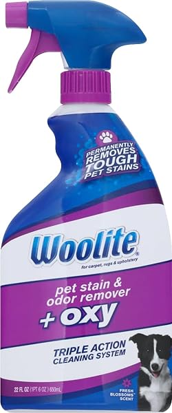 Reckitt Benckiser Woolite Pet Stain Remover 22 oz - Effective Solution for Tough Pet Stains