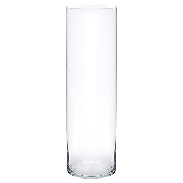 Royal Imports 16 Inch Tall Clear Glass Vase Decorative Centerpiece for Home or Wedding Cylinder Shape