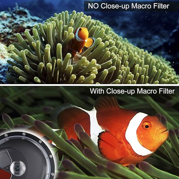 SOONSUN Dome Port for GoPro Hero 8: 147ft Waterproof Housing with Red Filter & Macro Lens for Stunning Underwater Photography - Image 8