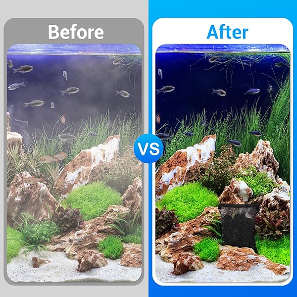 Segarty Aquarium Bio Balls, 1 inch Koi Pond Filter Media Bio Ball with Sponge for Aquarium Filter Canister Filter Biological Filtration for - Image 7