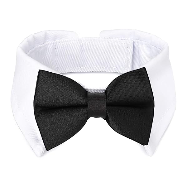 Segarty Black Bow Tie Dog Collar Adjustable Tuxedo Style for Small Medium Pets Perfect for Weddings and Birthdays