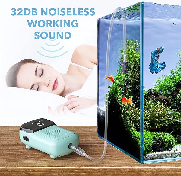 Skywin Fish Aerator Pump Rechargeable Battery Powered Portable Air Pump for Fishing Transporting Fish and Bait Cooling - Image 3