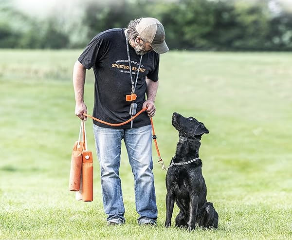 SportDOG Brand Canvas Dummies Weighted Bumper for Hunting Dog Training Easy Throwing Floats and Holds Game Scent Orange - Image 2