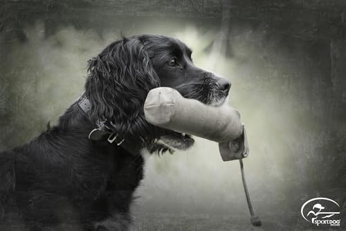 SportDOG Brand Natural Canvas Dummy Weighted Dog Training Tool with Rope for Hunting Floats - Image 3