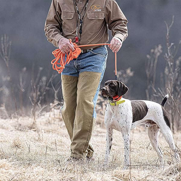 SportDOG 30ft Orange Check Cord - Lightweight, Strong, Floats & Highly Visible Training Tool for Dogs - Image 5