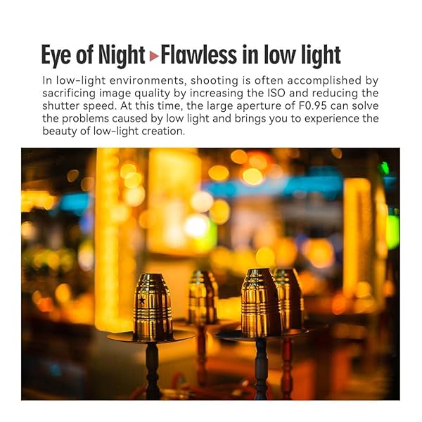 TTArtisan 50mm F0.95 Lens: Best Large Aperture Portrait Prime for L-Mount Cameras - Image 7