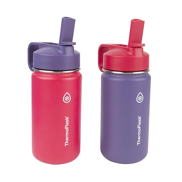 ThermoFlask 14 oz Double Wall Vacuum Insulated Water Bottles - 2-Pack in Punch & Eggplant Colors